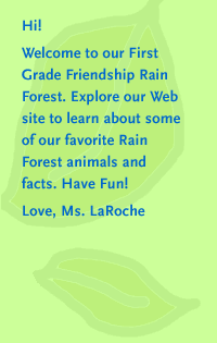 Welcome to our First Grade Friendship Rain Forest
